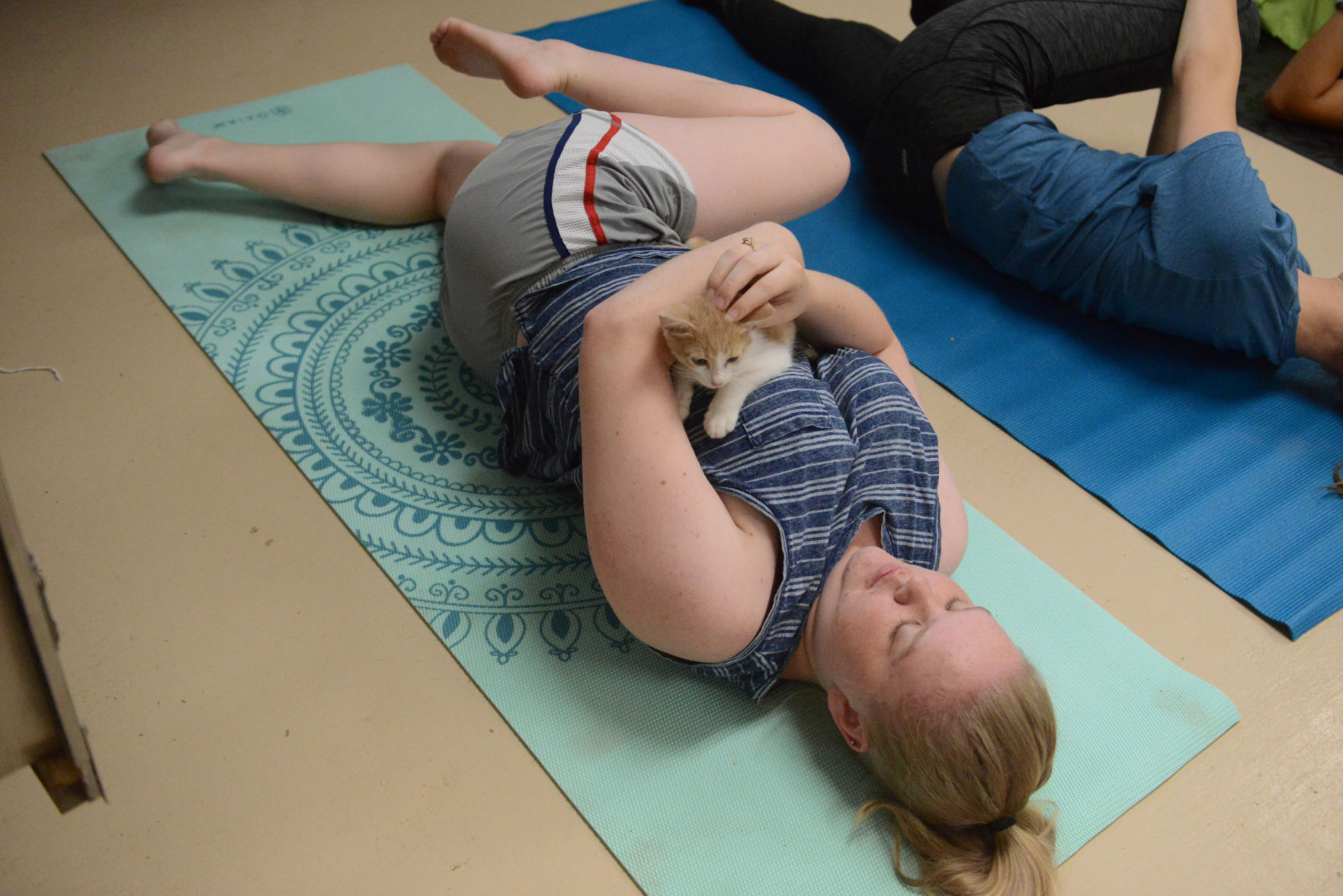 Cat Yoga at Aggieland Humane Society